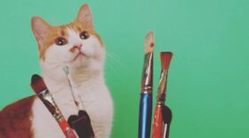 a cat posing with paint brushes